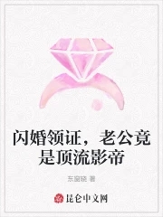 闪婚老公台抢手