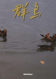 群鸟飞过湖面的动态描写